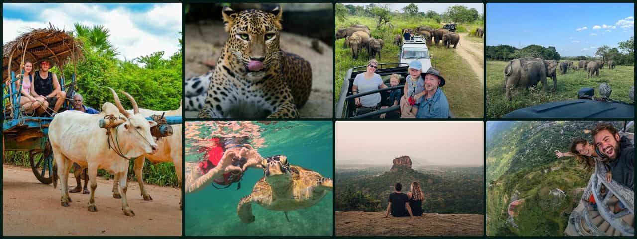 Sri Lanka tours collage: village bullock cart, leopard safari, elephants, snorkeling, Sigiriya and hill country