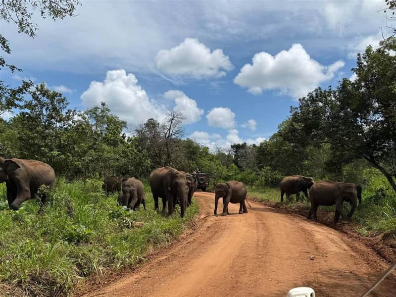Ella highlands scenic Sri Lanka tour