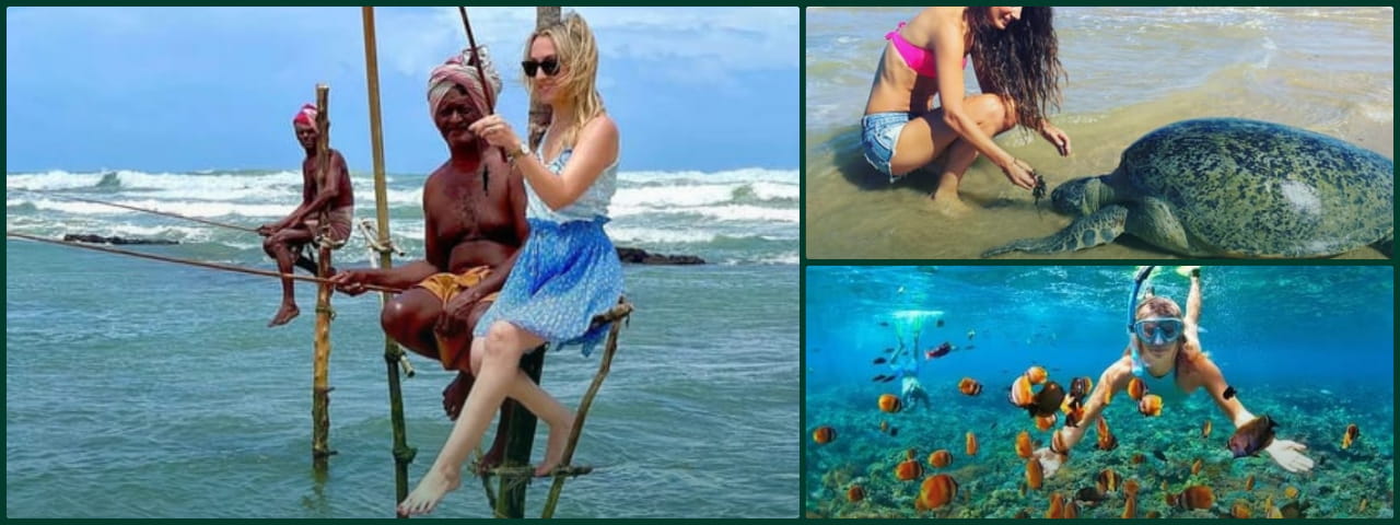 Sri Lanka beach holidays: stilt fishing, sea turtles and snorkeling