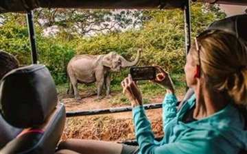 Yala National Park leopard safari Sri Lanka